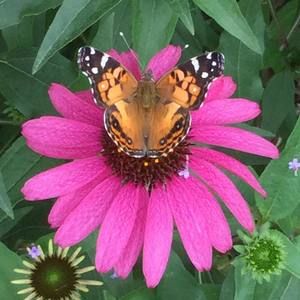 Meet your Posher, Sheree